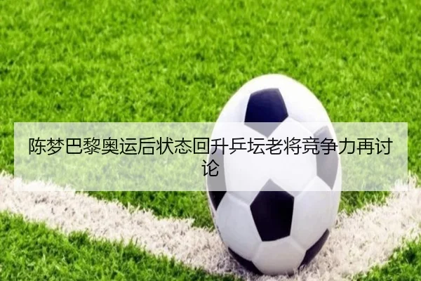 陈梦巴黎奥运后状态回升乒坛老将竞争力再讨论